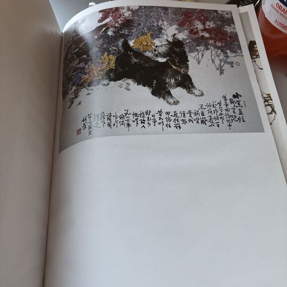 Chinese Paintings by Li Jianchen Piantings HC DJ Very Rare! Watercolor Art Book - Picture 9 of 16
